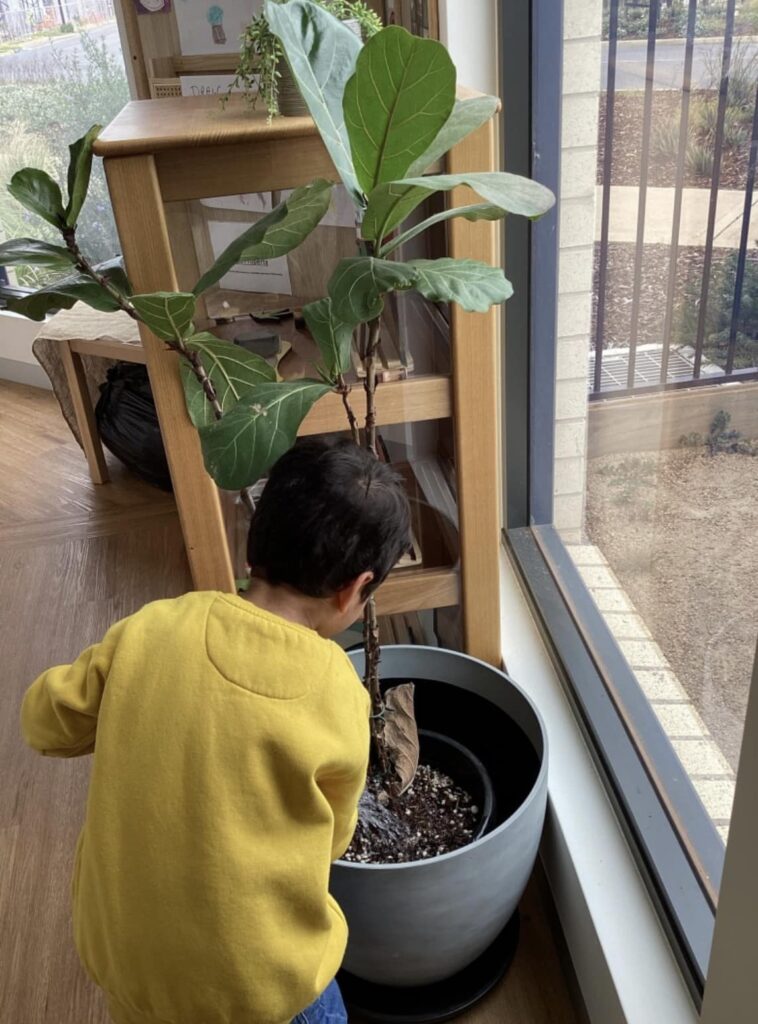 Green Thumbs at Aspire Thornhill Park’s Garden