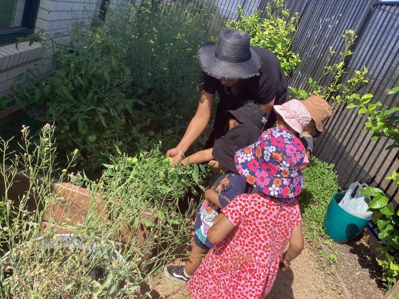 Green Thumbs at Aspire Thornhill Park’s Garden