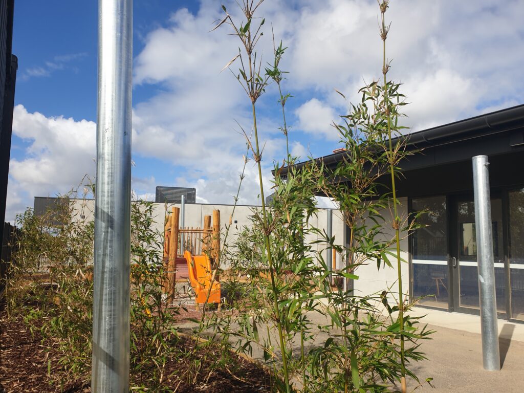 Construction at Cranbourne North – March 2024 Update