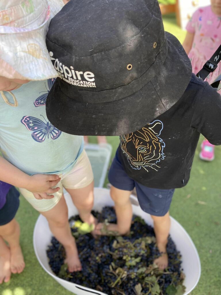 Discovering Bush Kinder at Aspire Bendigo