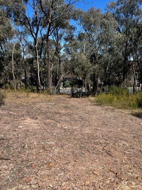 Discovering Bush Kinder at Aspire Bendigo