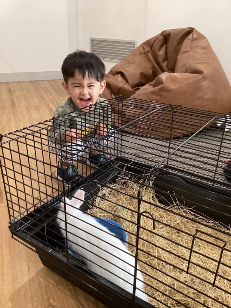 Lily the Bunny - Thornhill Park’s Newest Enrolment!
