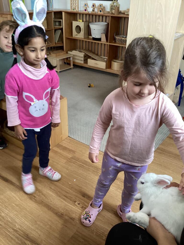 Lily the Bunny - Thornhill Park’s Newest Enrolment!