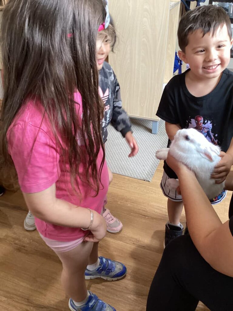Lily the Bunny - Thornhill Park’s Newest Enrolment!