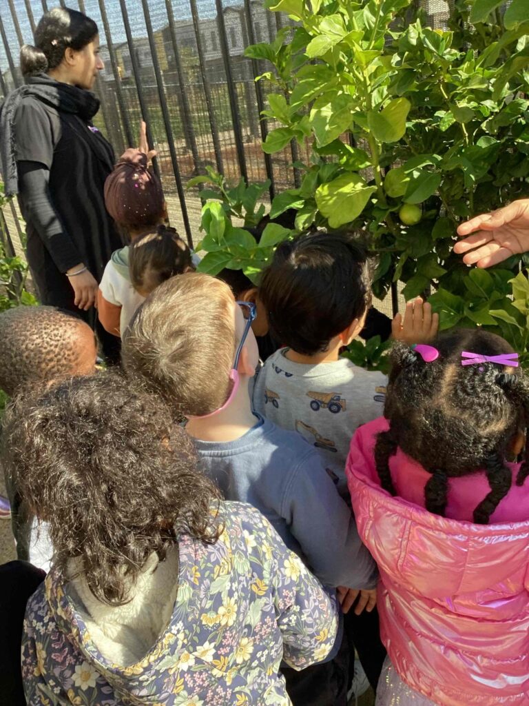 Structured Learning, Thornhill Park’s Incursion Program