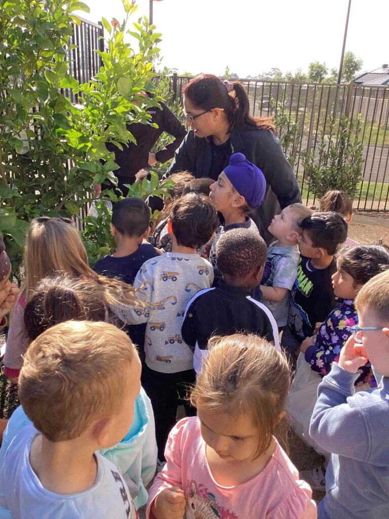 Structured Learning, Thornhill Park’s Incursion Program