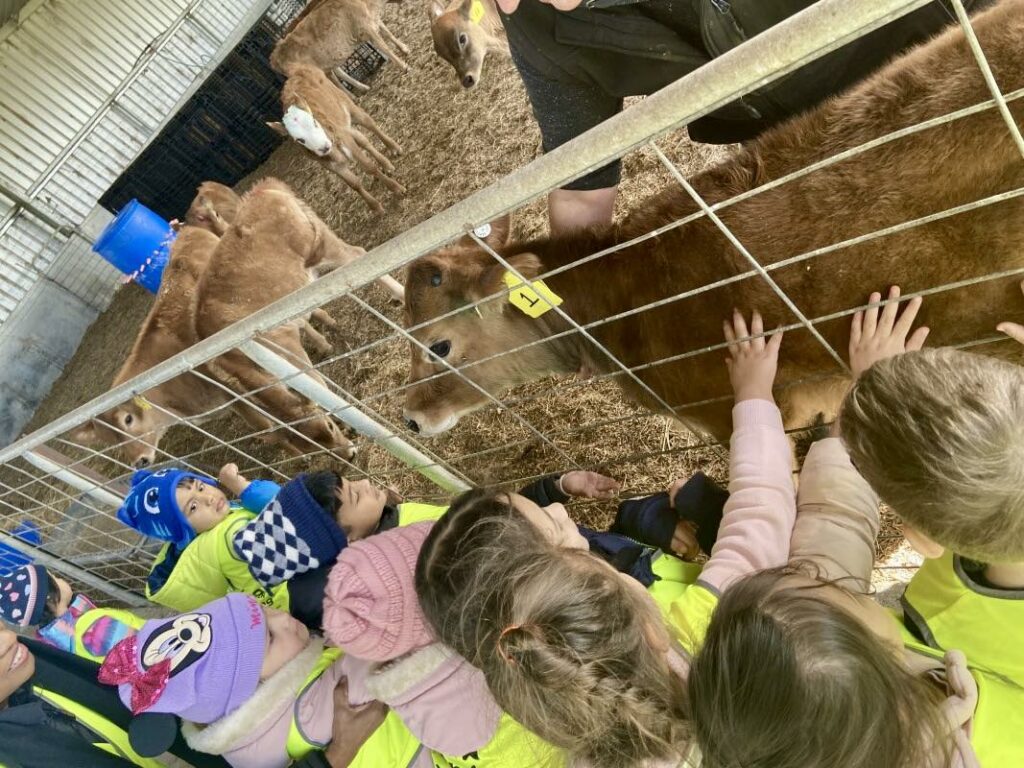 Engaging Experiences at During Clyde North’s Farm Excursion