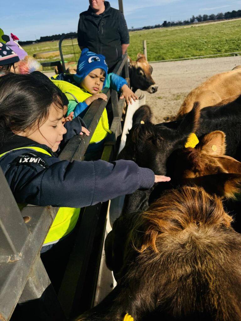 Engaging Experiences at During Clyde North’s Farm Excursion