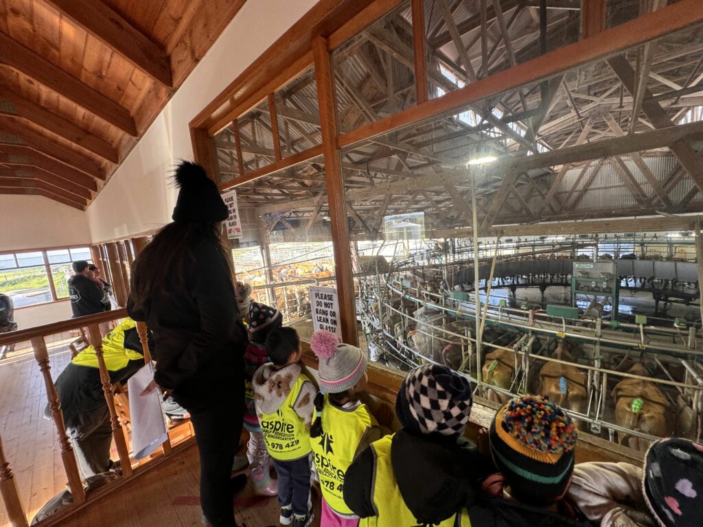 Engaging Experiences at During Clyde North’s Farm Excursion