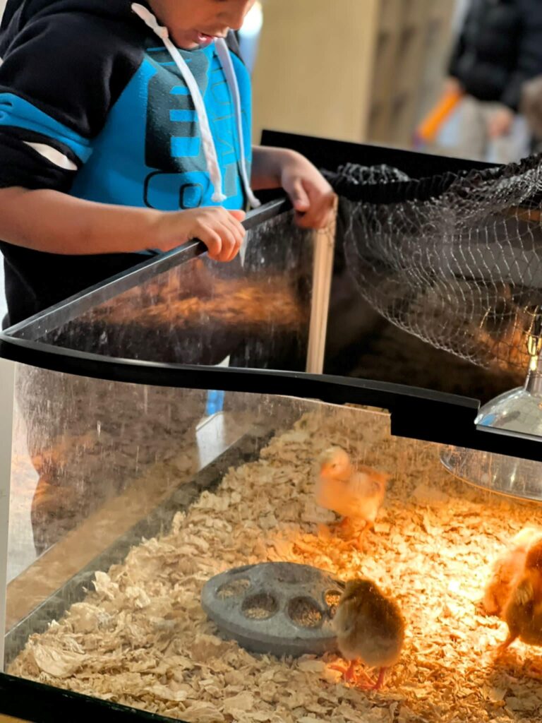 Engaging Incursions at Aspire Cranbourne West