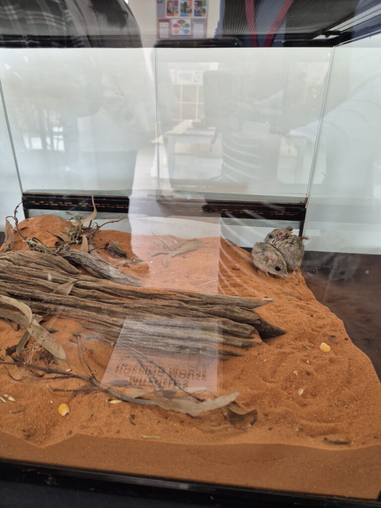 Aspire Thornhill Village Open Day Wrap-Up