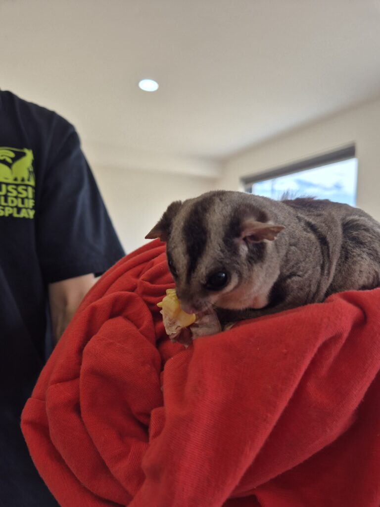 Aspire Thornhill Village Open Day Wrap-Up