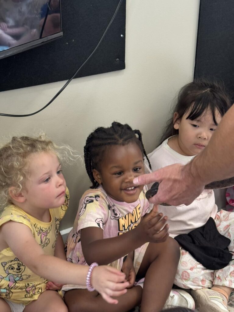 Exploring Aussie Animals at Aspire Cranbourne West