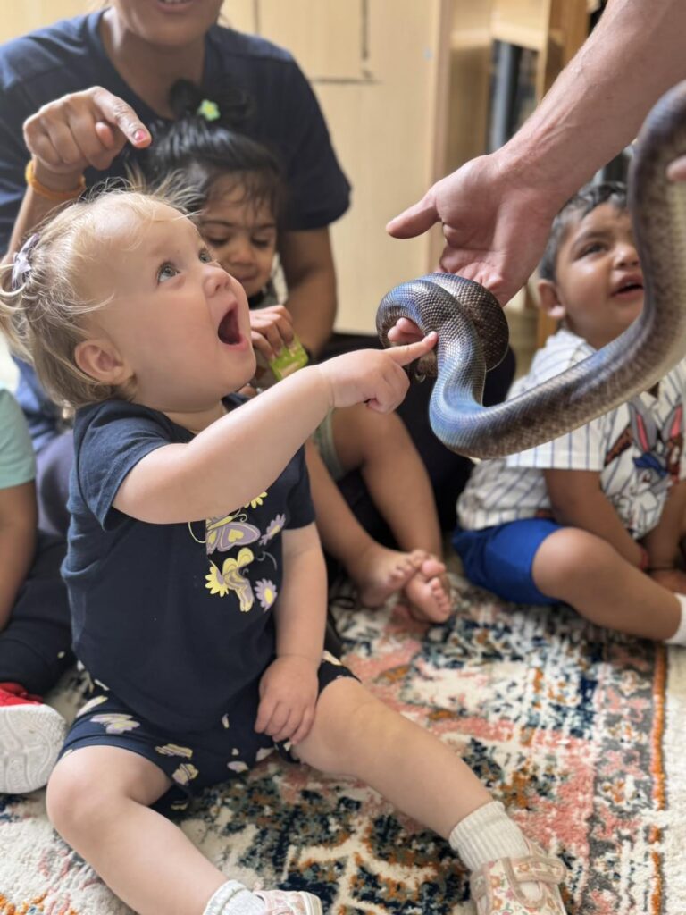 Exploring Aussie Animals at Aspire Cranbourne West