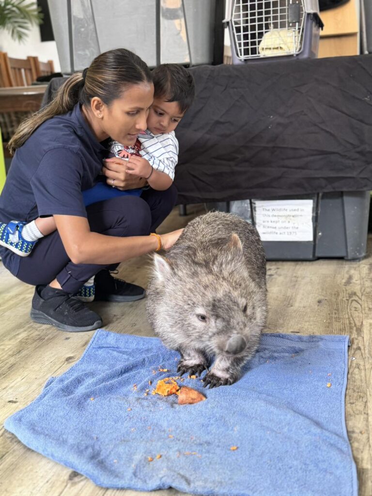 Exploring Aussie Animals at Aspire Cranbourne West