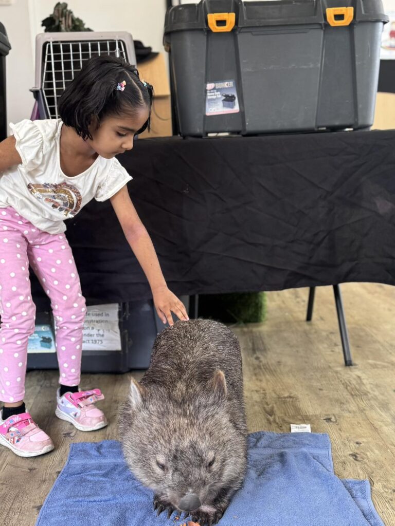 Exploring Aussie Animals at Aspire Cranbourne West