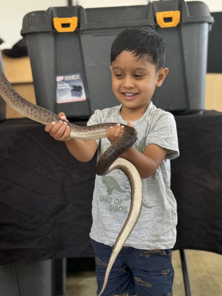 Exploring Aussie Animals at Aspire Cranbourne West