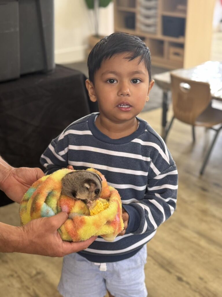 Exploring Aussie Animals at Aspire Cranbourne West