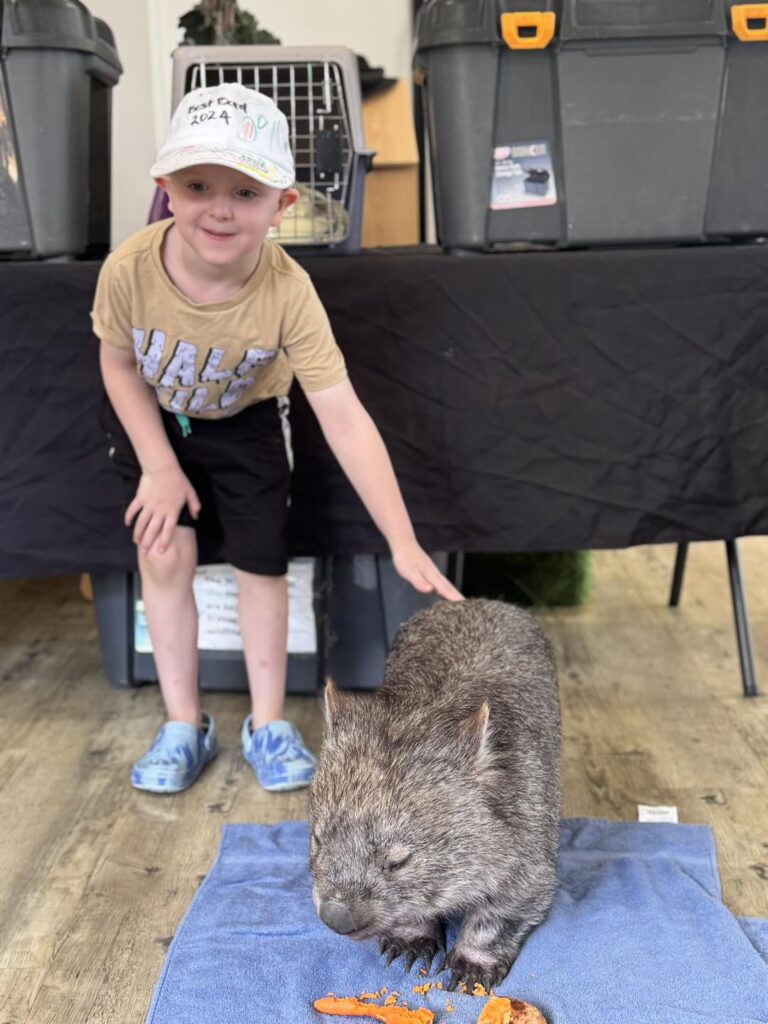 Exploring Aussie Animals at Aspire Cranbourne West