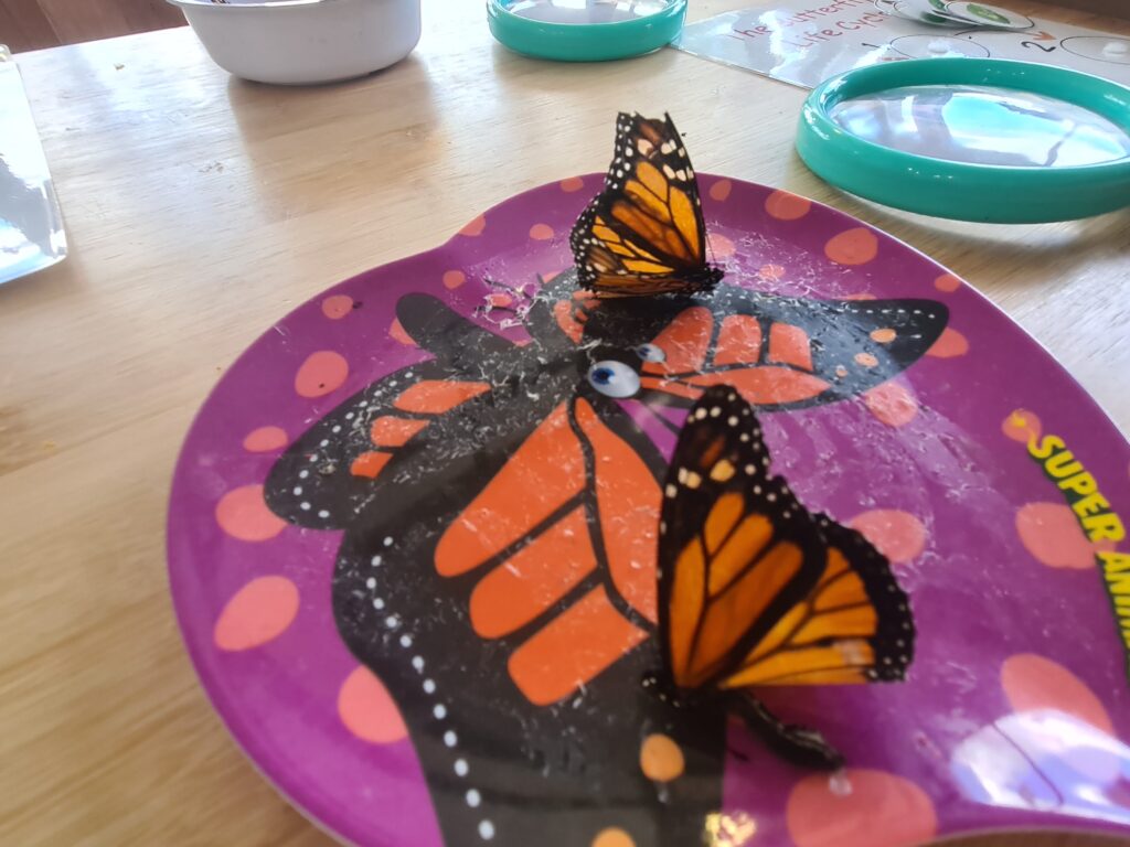 Exploring Music, Nature, and Safety Incursions at Aspire Wollert