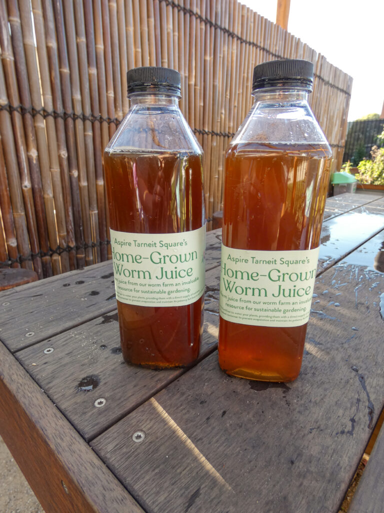 Going Green in Aspire Tarneit Square’s Sustainability Garden - Worm Juice